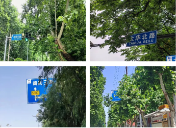 20230704214302517-30-eb2a5.png