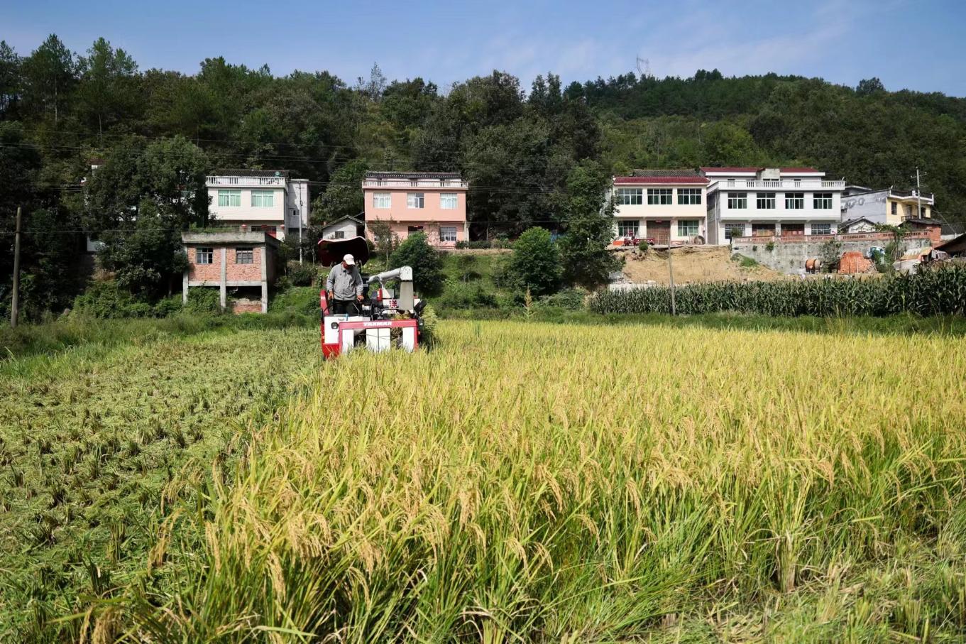 20231009202907846-89-cafa2.jpg_scale.jpg
