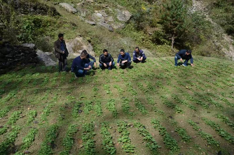 20231011104349245-7-1d6e8.jpg