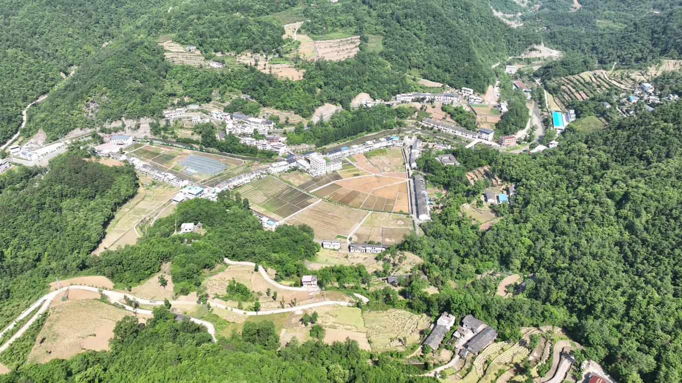 20231206112710858-7-ac08e.jpg_scale.jpg