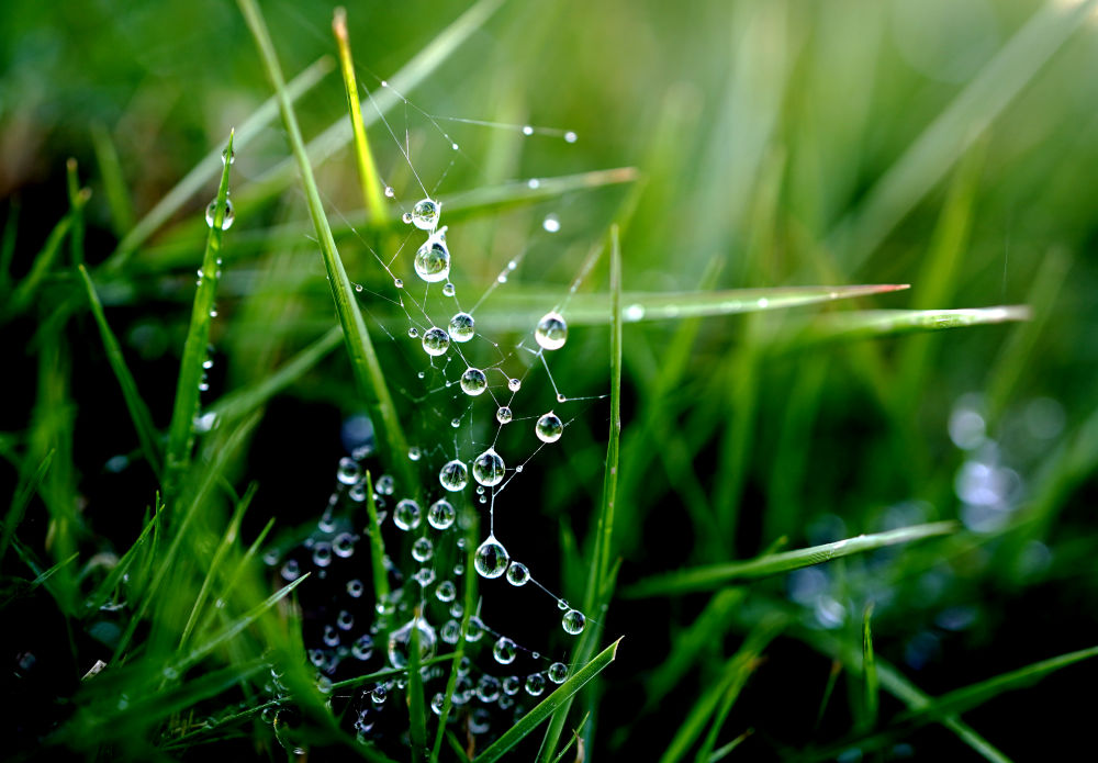 c9095469c5d3a2579cf85bd7482d899e.jpeg