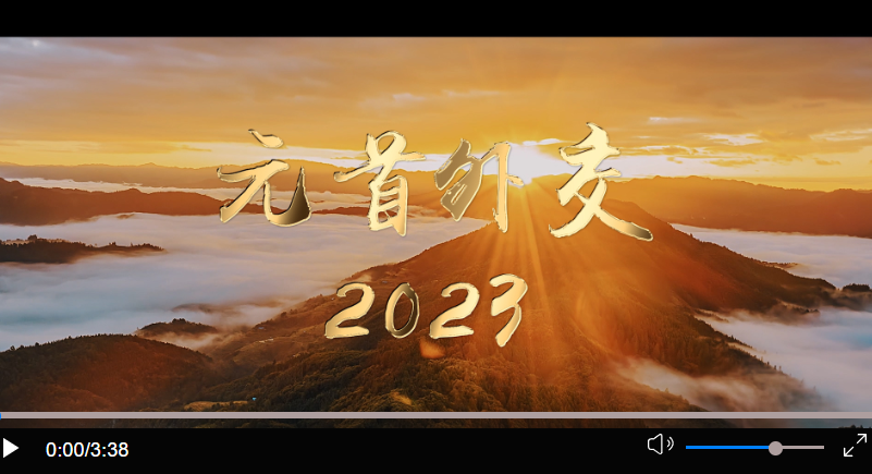 20231230194446853-33-47f99.png