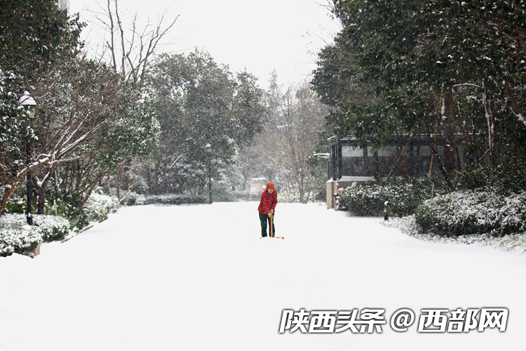 8807c449b6e50d3b8ad849ea85915915.png