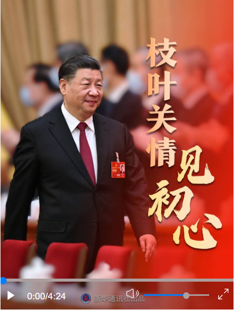 20240302082911620-30-f54f1.png