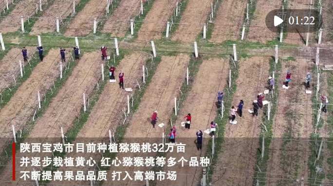 20240326091307316-71-ac4f4.png