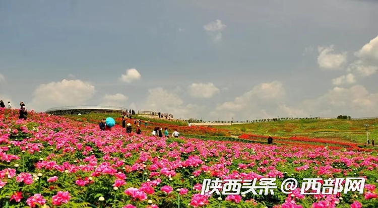 55264faba5b6a6c05efe236210cdb086.png