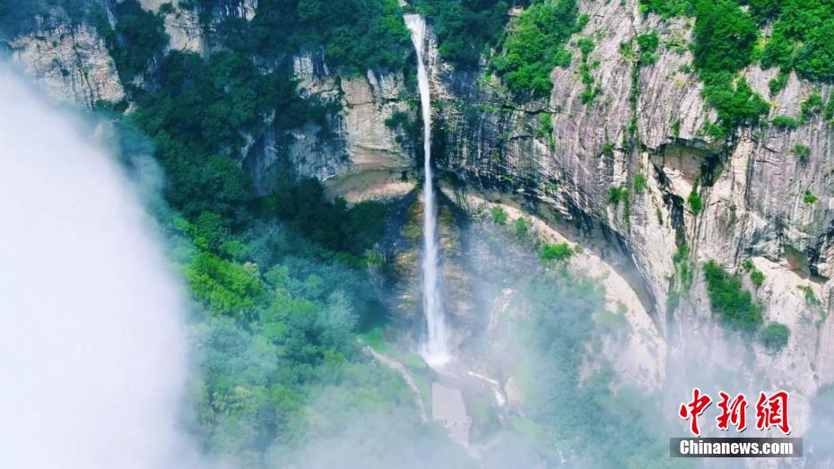 秦岭腹地漫山紫荆与“彩虹飞瀑”同框