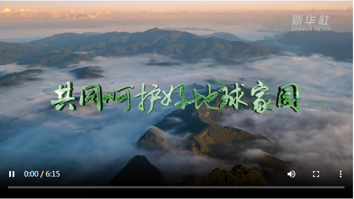20240522084153932-11-29ff2.png
