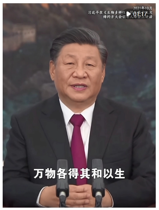20240523082847283-99-c26b2.png