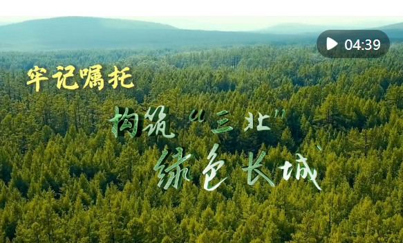 20240611113311300-7-f800c.png