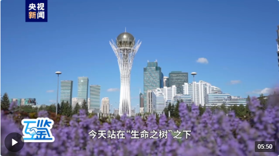 20240704114644171-15-bea21.png