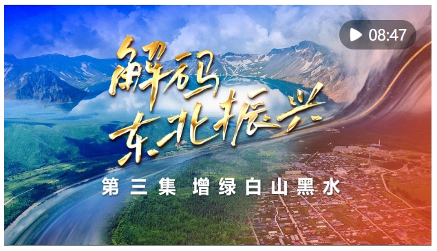 20240829114735410-15-ee2a1.png