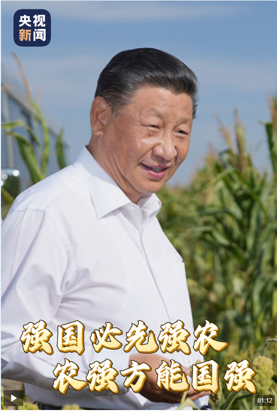 20240923101659863-52-63ee2.png