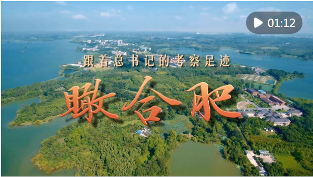20241019160601508-38-d044a.png