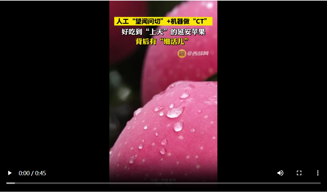 20241028210935973-55-264fc.png