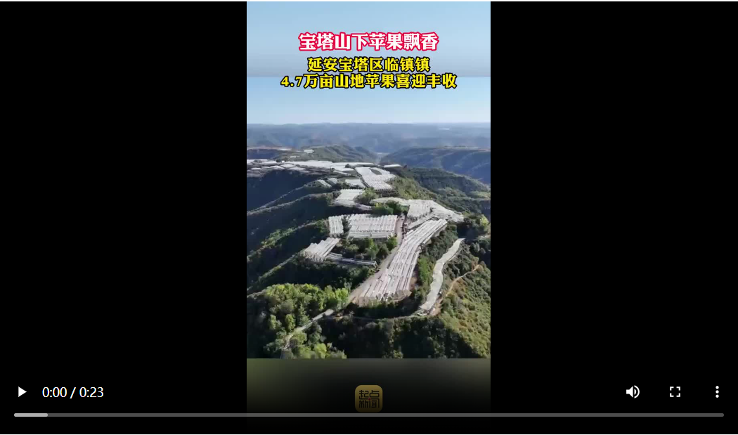 20241028211209434-89-fe9b5.png