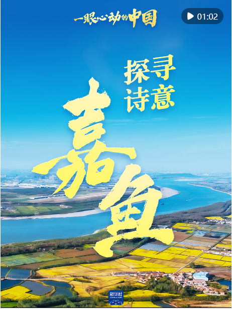 20241107161821462-45-ec480.png