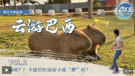 20241118110518890-43-f6a7d.png