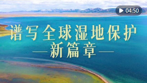 20250203140310675-28-ed06b.png