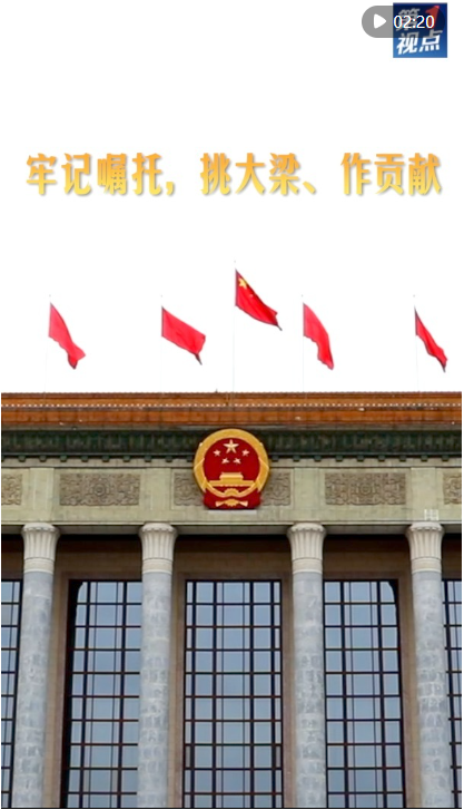 20250307094056740-94-1c2fb.png