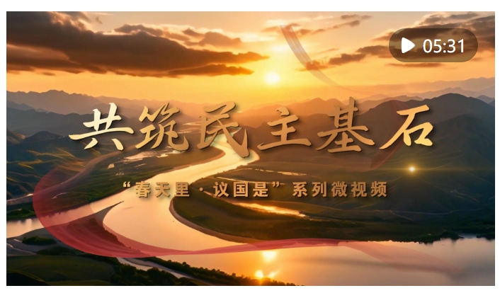 20250309084651216-24-7cece.png
