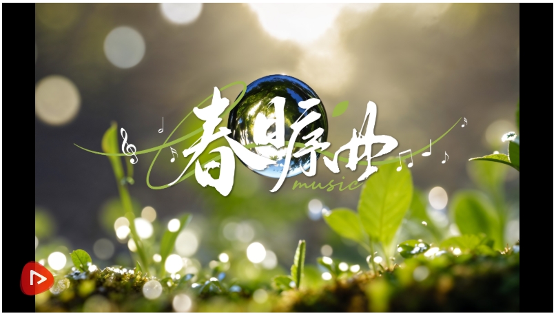 20250312123657644-49-04df4.png