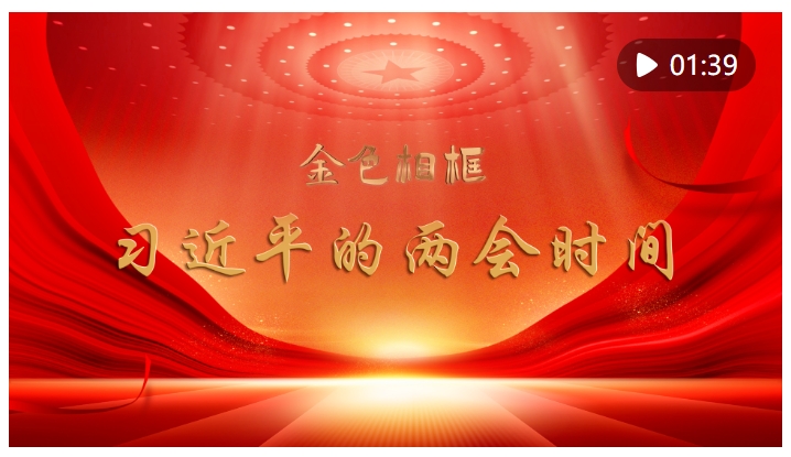 20250312161120367-99-efc6e.png
