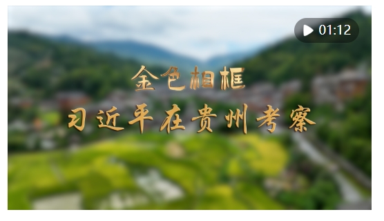 20250318203101352-1-5a462.png
