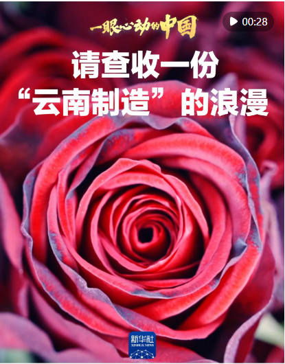 20250320120055409-4-2eb77.png