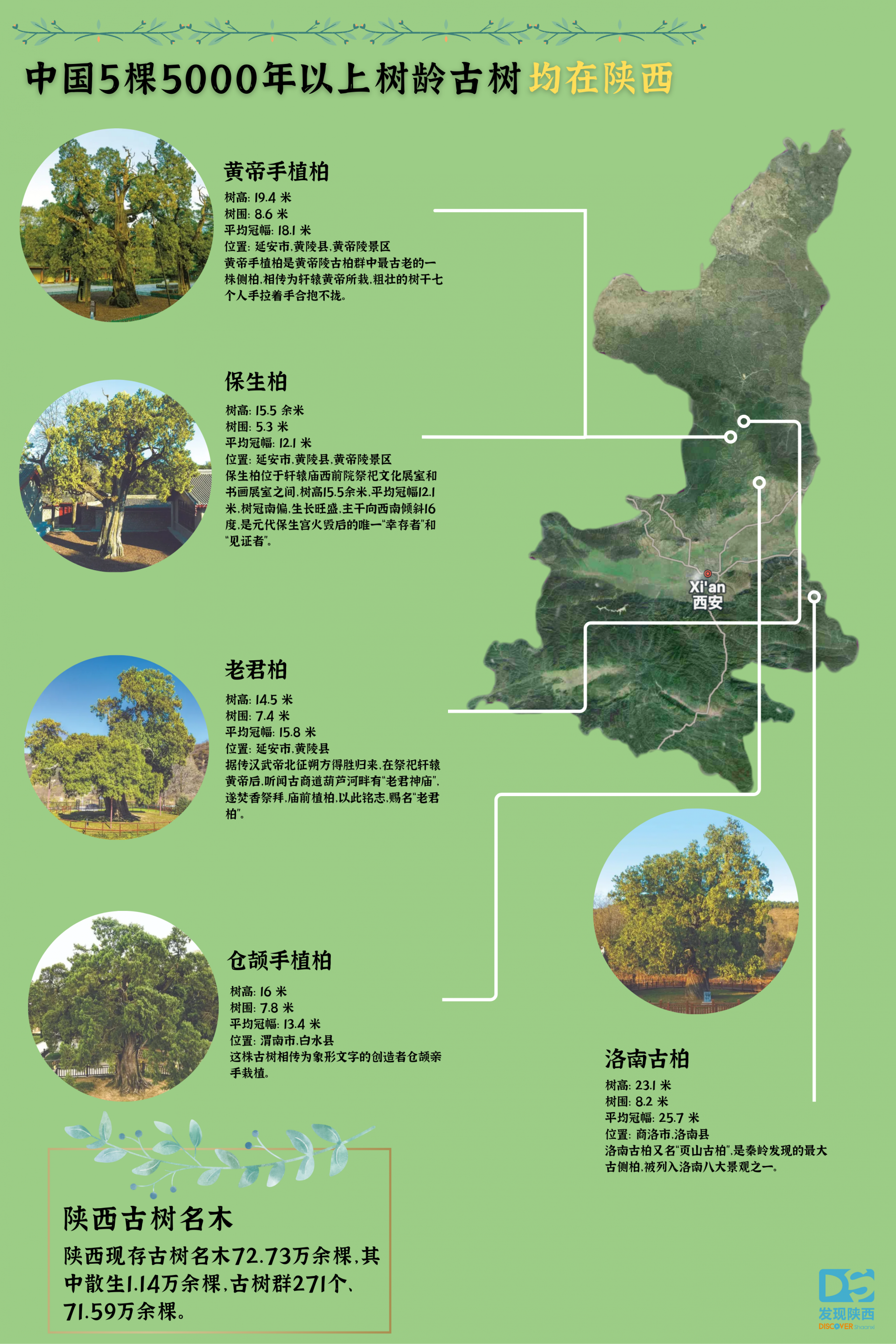 7232c73d265c1094b28a33069d274373.png