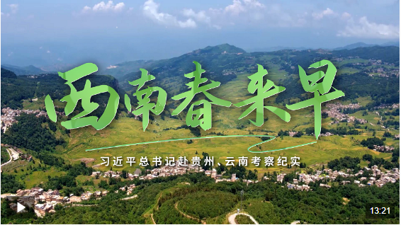 20250321163121745-22-af48c.png