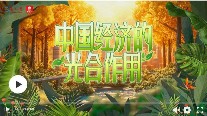 20250329153915250-24-e623b.png