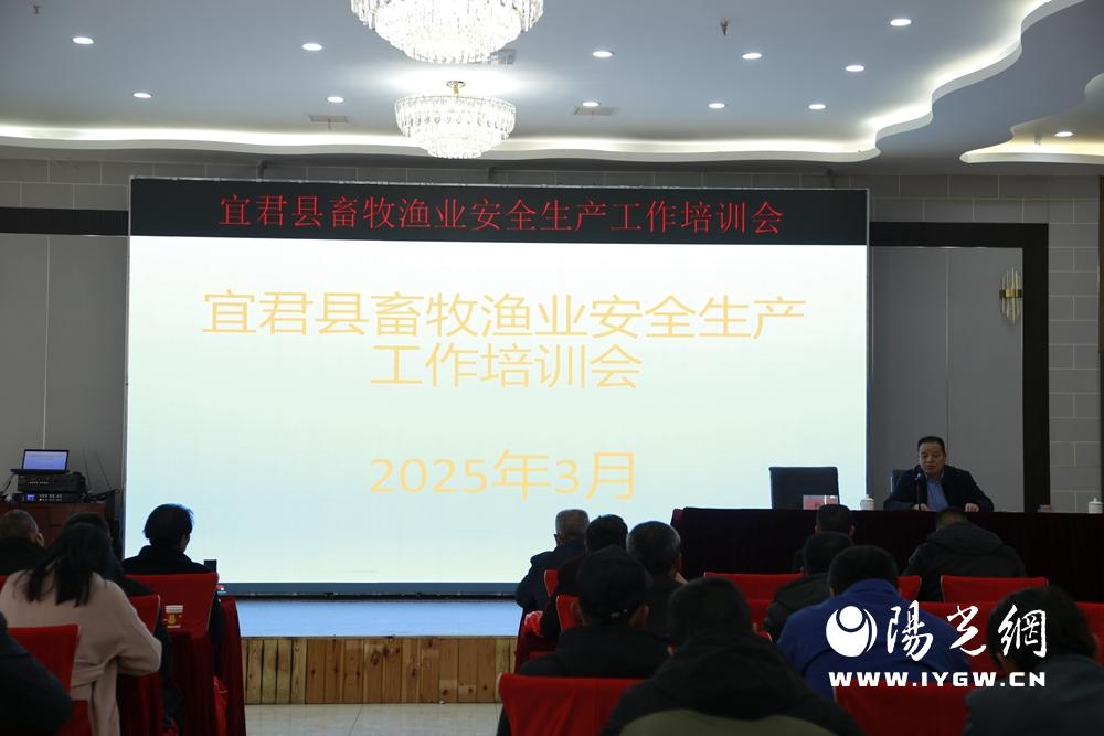 20250331145844366-96-eeffa.jpg