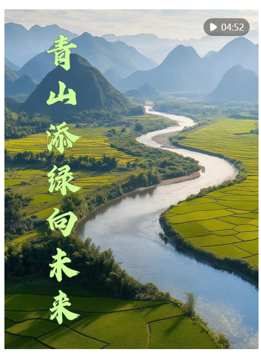 20250403221541956-72-afcd2.png