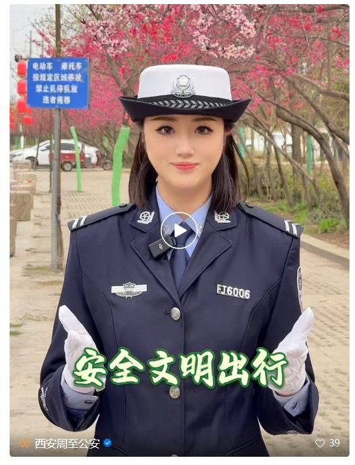 20250404112933698-52-ca24b.png