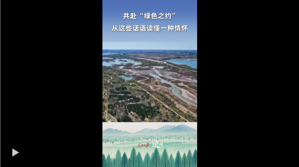 20250405122824245-22-835f8.png