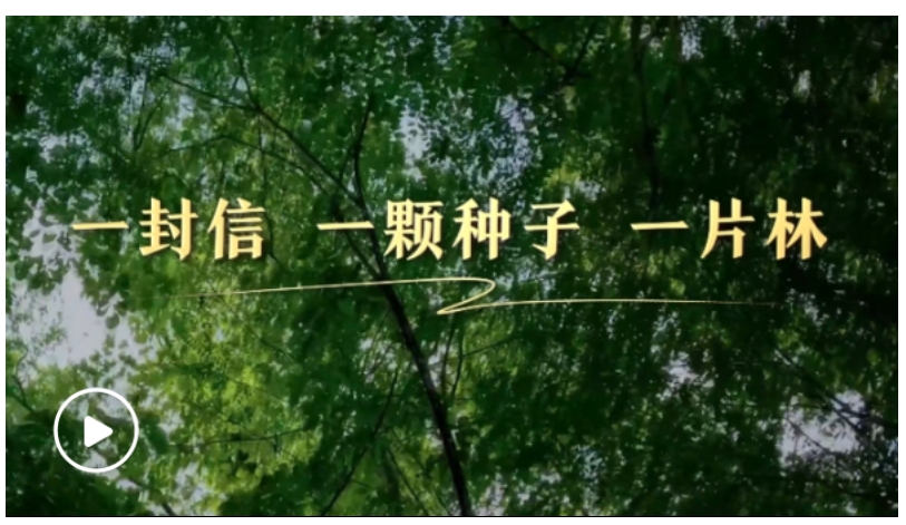 20250406085017920-18-74f61.png