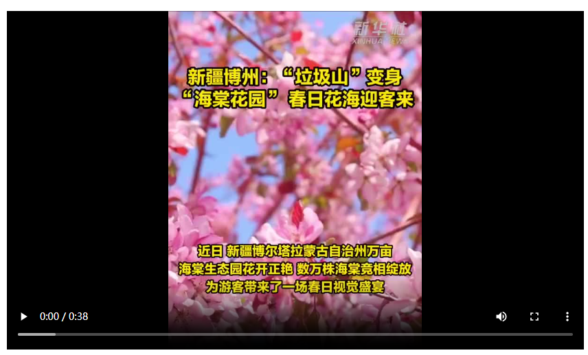 20250430094832564-35-c23fa.png