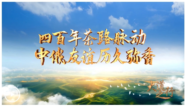 20250506155832115-12-1d941.png