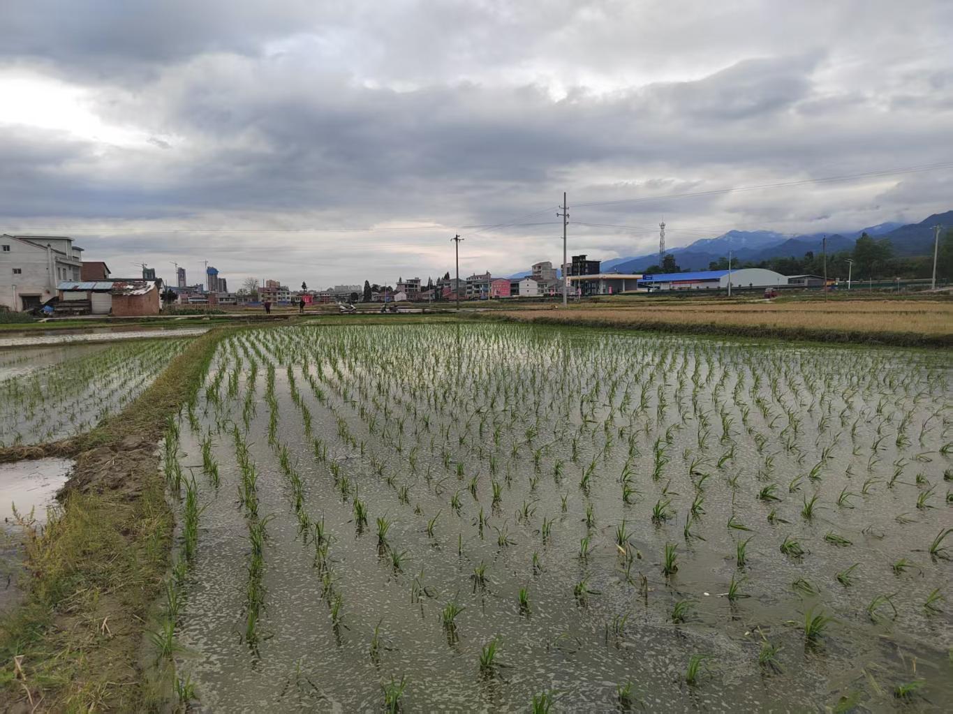 20250529171017716-19-a0191.jpg_scale.jpg 20250529171017716-19-a0191.jpg_scale.jpg