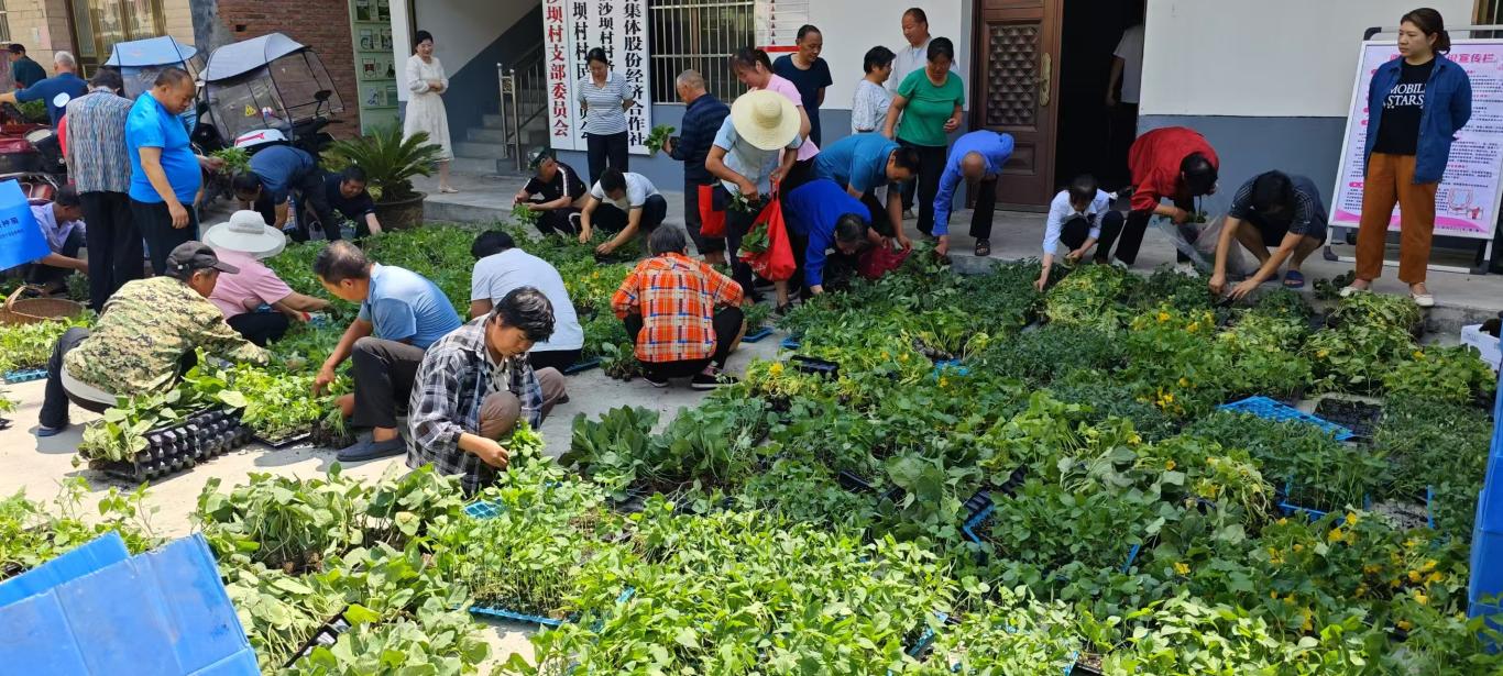 20250529171345592-41-638cd.jpg_scale.jpg 20250529171345592-41-638cd.jpg_scale.jpg