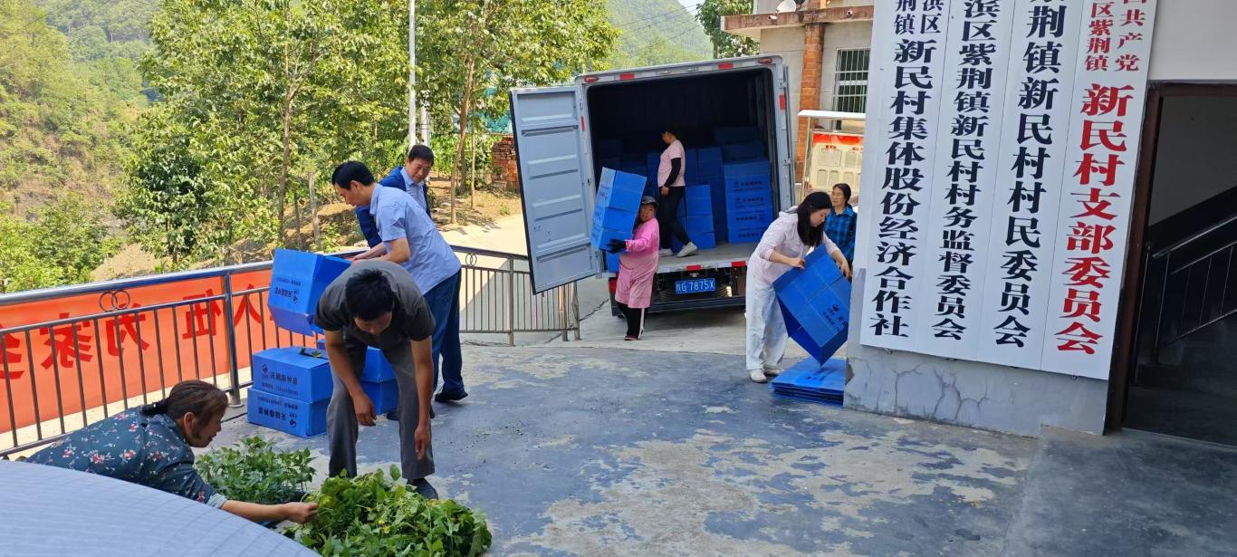 20250529171403528-73-44e9d.jpg_scale.jpg 20250529171403528-73-44e9d.jpg_scale.jpg