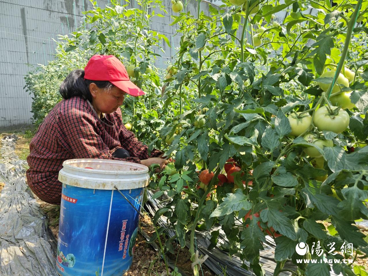 20250604163854361-39-dae85.jpg 20250604163854361-39-dae85.jpg