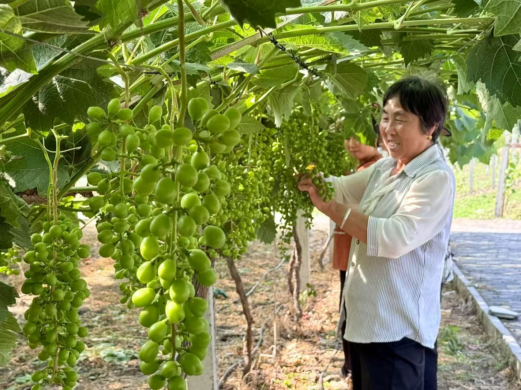 20250605230437180-70-02c20.jpg 20250605230437180-70-02c20.jpg