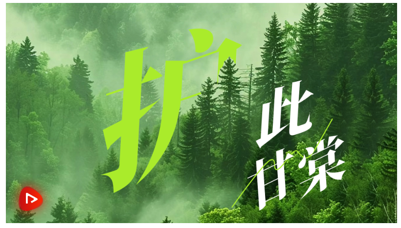 20250608084616194-12-3a8fc.png