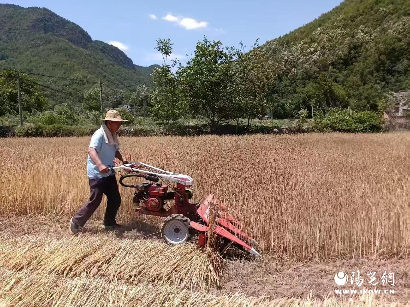 20250608120304072-49-1173c.jpg_scale.jpg 20250608120304072-49-1173c.jpg_scale.jpg