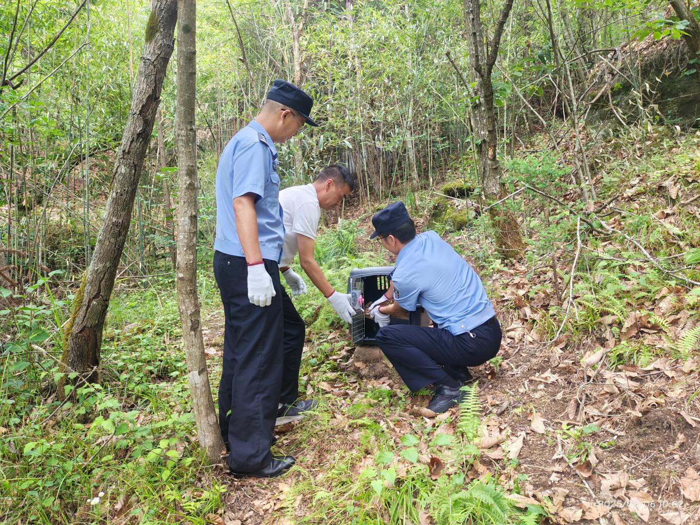 20250609161723979-50-c6d37.jpg_scale.jpg 20250609161723979-50-c6d37.jpg_scale.jpg