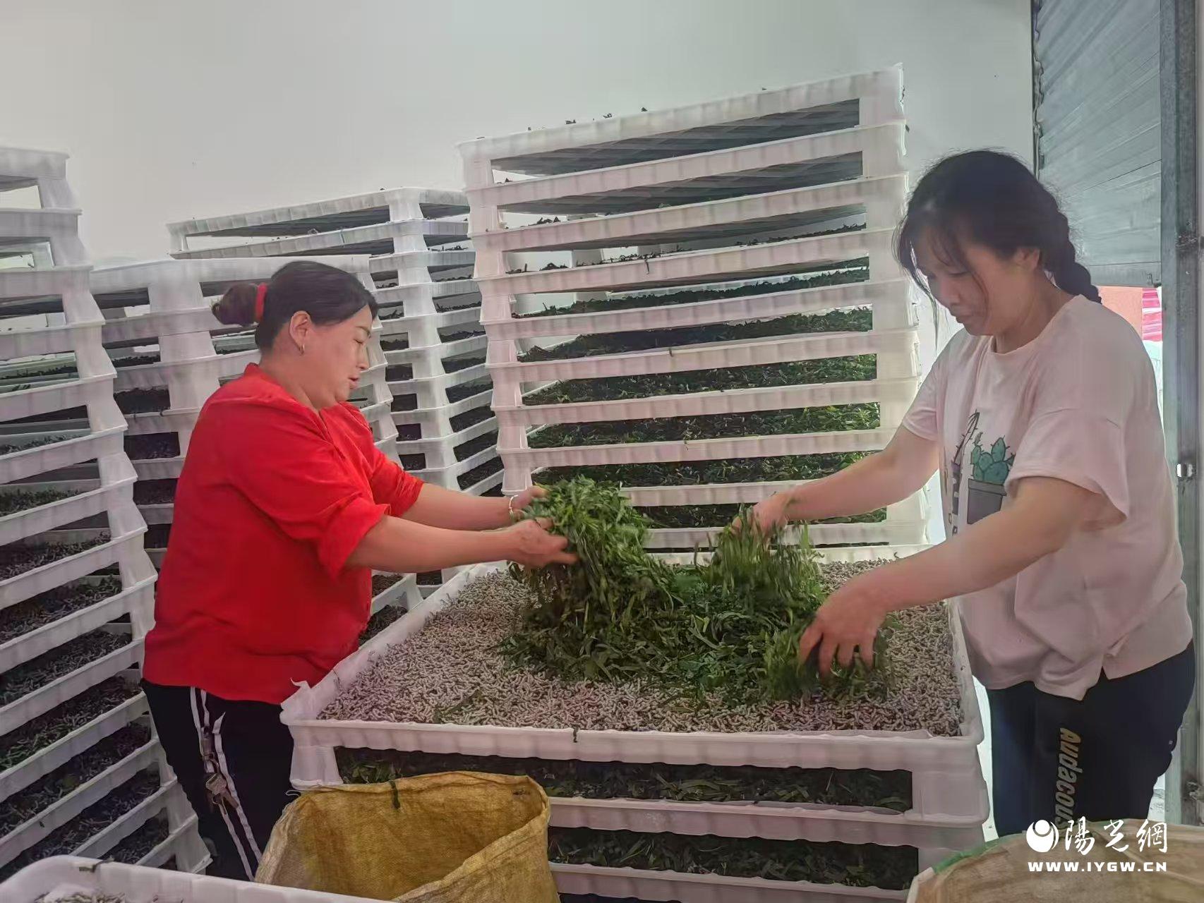 20250609162822134-83-53786.jpg 20250609162822134-83-53786.jpg