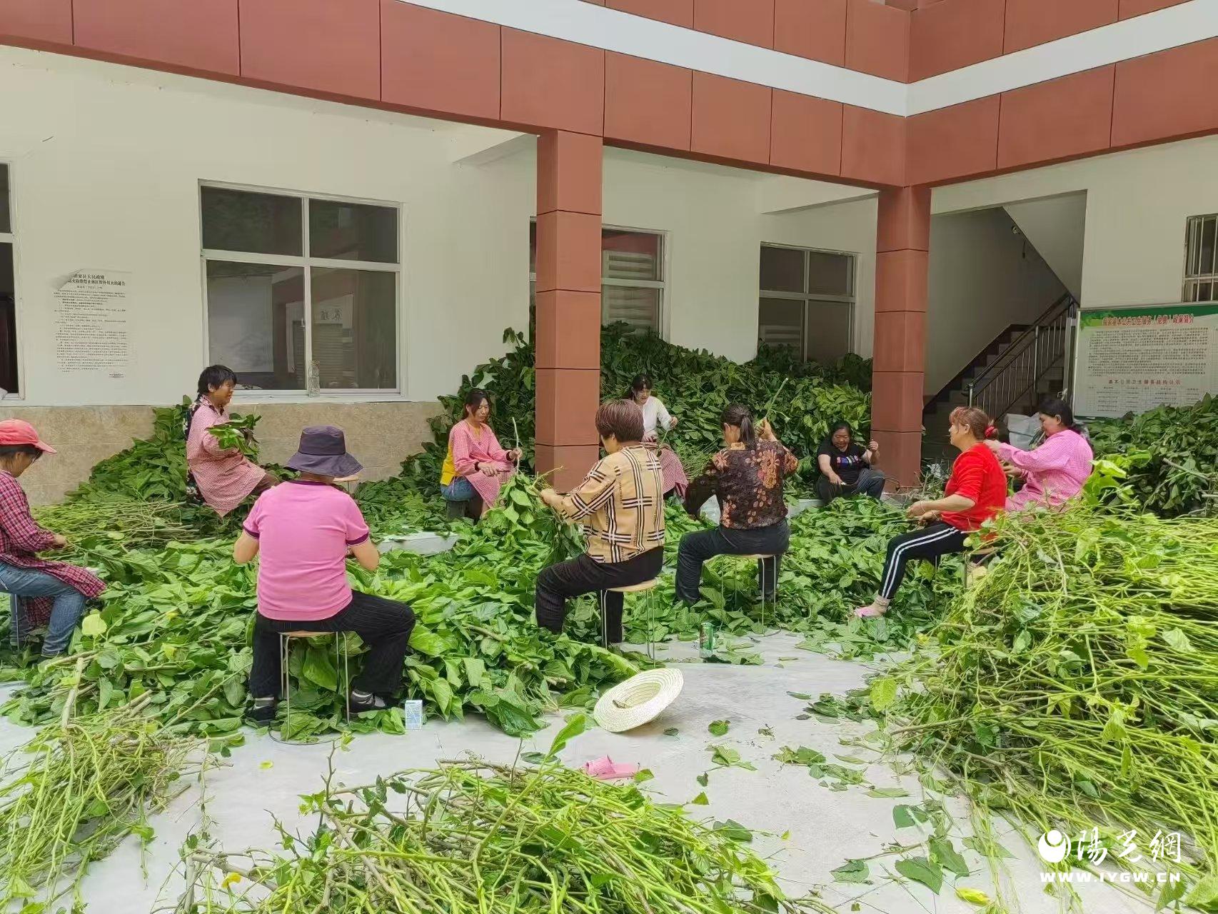 20250609162823399-42-7b017.jpg 20250609162823399-42-7b017.jpg