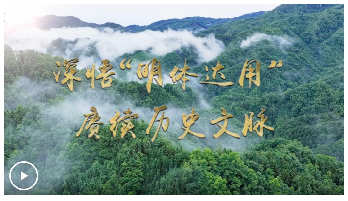 20250610114953019-9-a8936.png